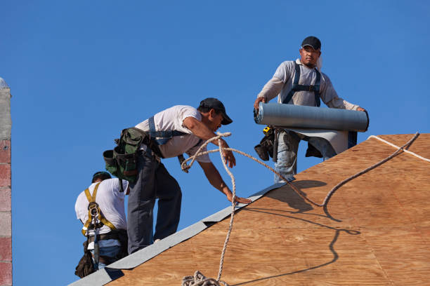 Best Storm Damage Roof Repair  in Colesville, MD