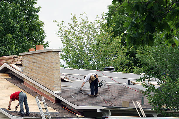 Best Storm Damage Roof Repair  in Colesville, MD