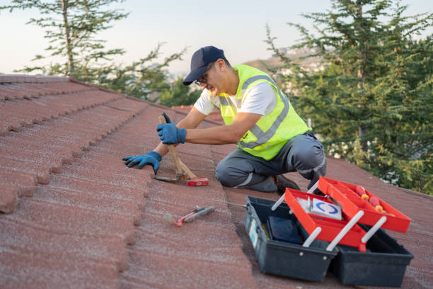 Best Metal Roofing Contractor  in Colesville, MD